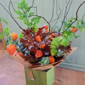 Chinese Lantern Hand-tied